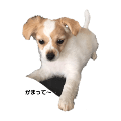 arisa_20200906000454