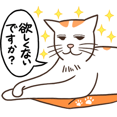 Orange white cat "FARDI" 2 JP