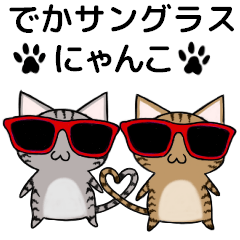 Sunglasses cat ASHver