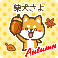 Shiba Sayo in Autumn