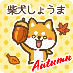 Shiba Shouma in Autumn