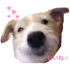 suzu_20200906153022