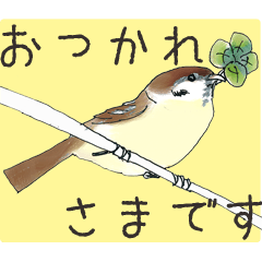 Cheerful sparrows in neighborhood