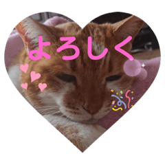 mimi_20200906173828