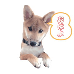 Saya_20200906170000