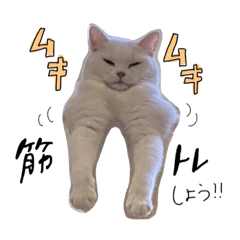 tomomi_20200906190931