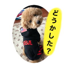 Asuka_20200906161855