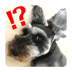 Takuya Iwata_20200906162820