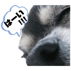 ayumi_20200906183316