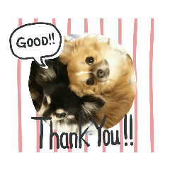 JINJIN_20200906114606