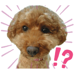 Nozomi_20200906160431