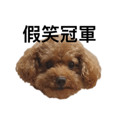 日常詹小皮2