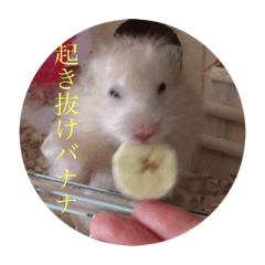Hana_20200906163431