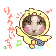 mochi_20200906212541