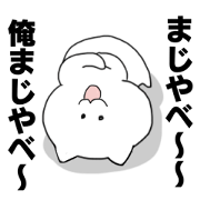 Paripi cat