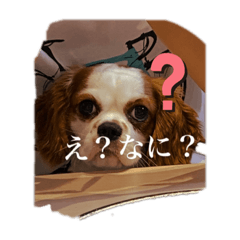 Aoi_20200906194128
