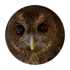 kanae_20200907013025