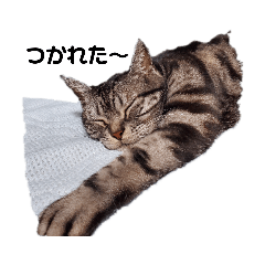 tetsu_20200907064455