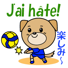 Volleyball dog French and Japanese