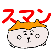 Shiba inu MOMO chan the third as well 9