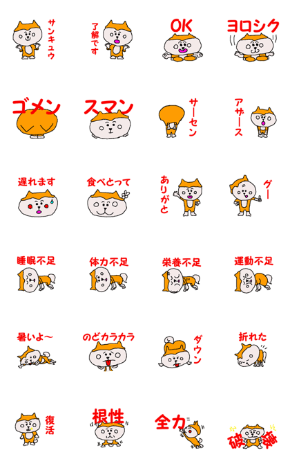 Shiba inu MOMO chan the third as well 9