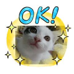 Ayumi_20200906224246