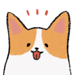 Close-up Corgi