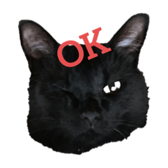 hikari_20200907013138