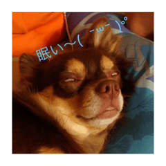 Hello_20200906230545