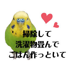 しゃべるインコ Line スタンプ Line Store