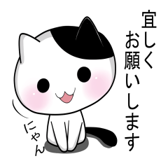 Nyanchi of black-and-white cat3