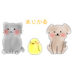 magicalstamp Nina_20200907003029