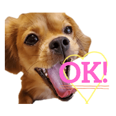 sally_20200907152812