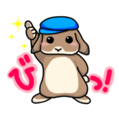 Shiina 's lop-eared rabbit