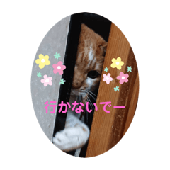 mimi_20200907182503