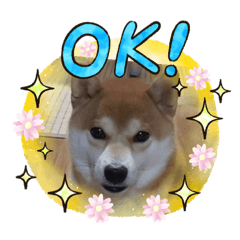 saori_20200907200843