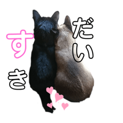 hikari_20200908005306