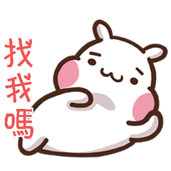 ChiBi Rabbit HappyLife2