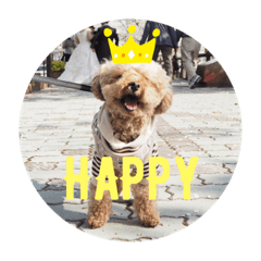 Tomomi_20200907224356