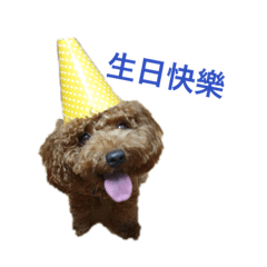 楊Lucky的日常