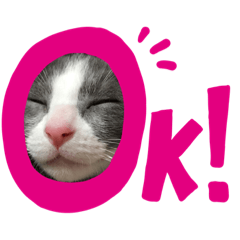 ayumi_20200907222714