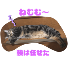 hayato_20200907223322