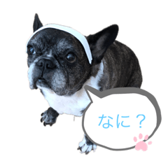 hana_20200907203529