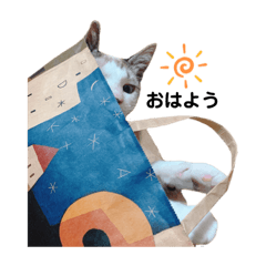 mizuki_20200907174433