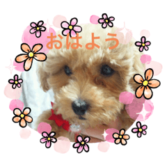 mimi_20200907220009