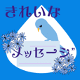 青い鳥と花 (ver2) 画像とメッセージ修正版