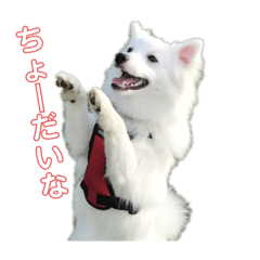 omochi_20200908020123