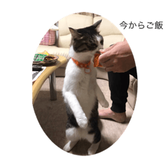 kazuki_20200907224151