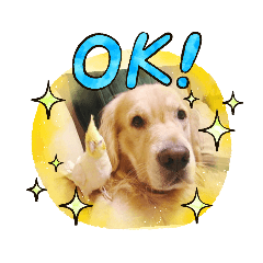 簡單日常用語篇