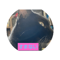 tonton_20200908143659